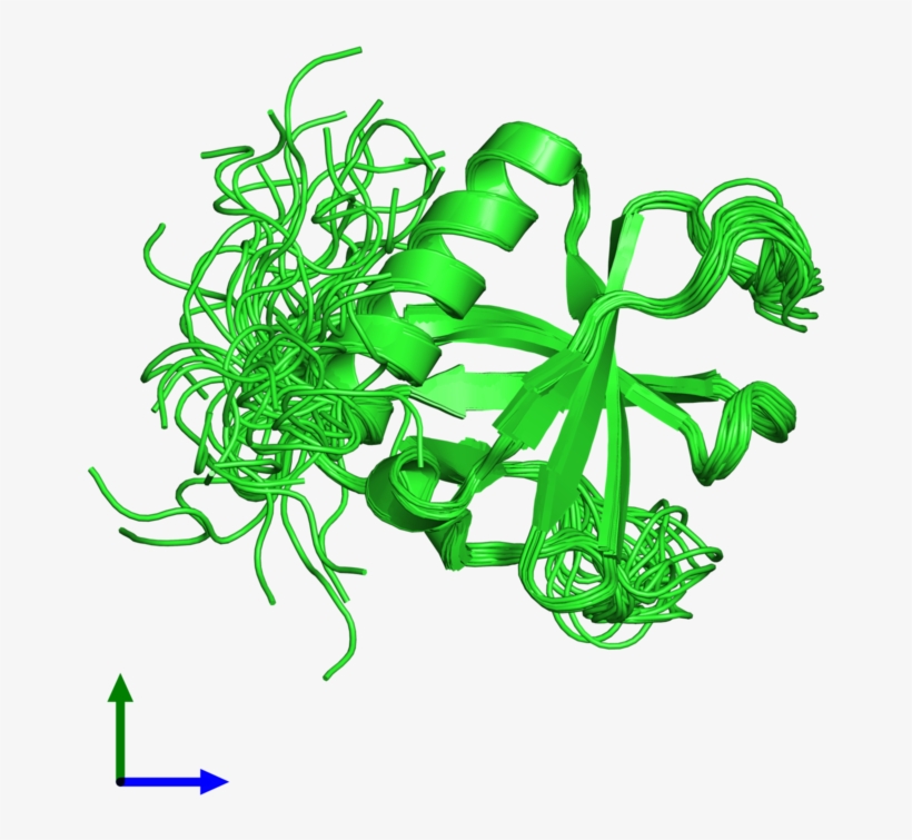 Pdb 2coc Coloured By Chain And Viewed From The Front - Graphic Design, transparent png