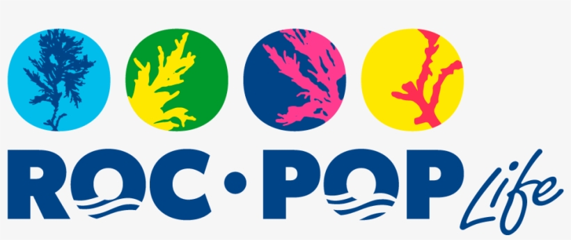 Conference Clipart Kickoff Meeting Conference Kickoff - Portable Network Graphics, transparent png
