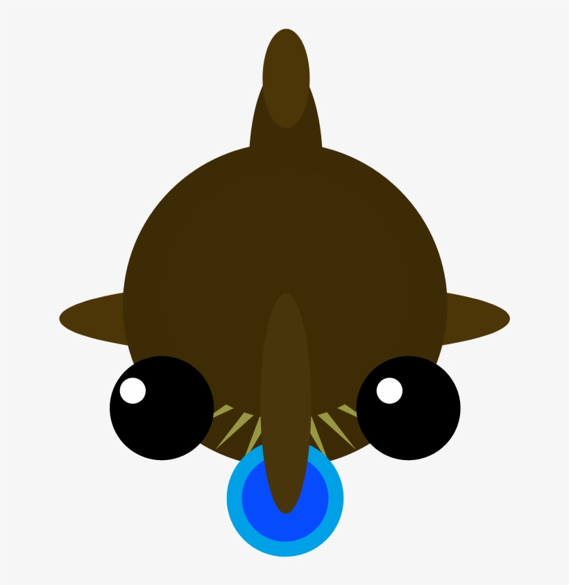 Angler Fish For Deep Sea Biome - Cat, transparent png