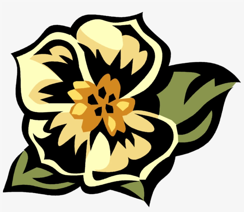 Picture Freeuse Library Morning Glory Flowering Image, transparent png