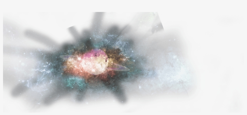 As Expected - House Fly, transparent png