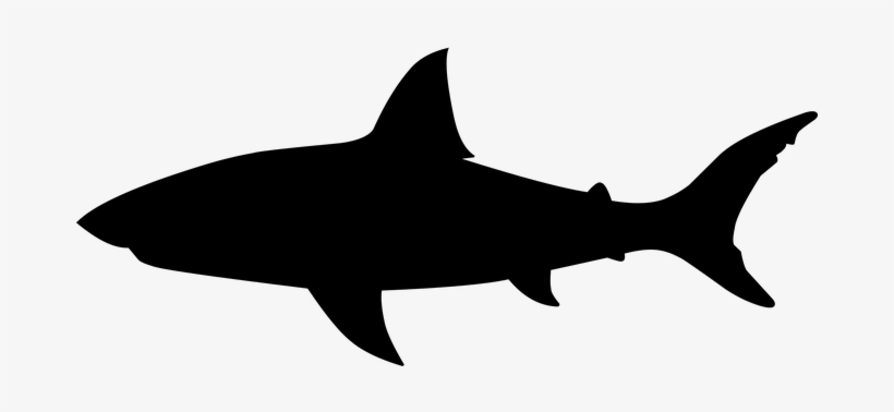 Shark, Jaws, Fish, Great, Tattoo Shark Jaws, Make A - Shark Silhouette Png, transparent png
