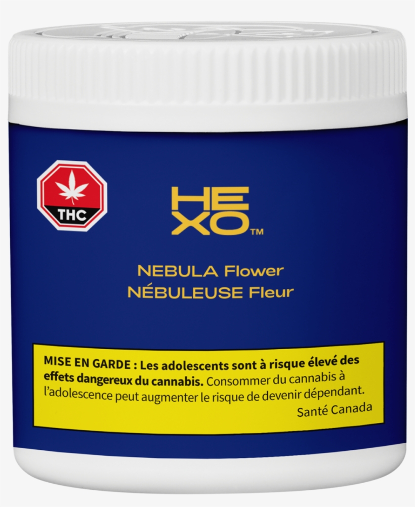 Bison, transparent png