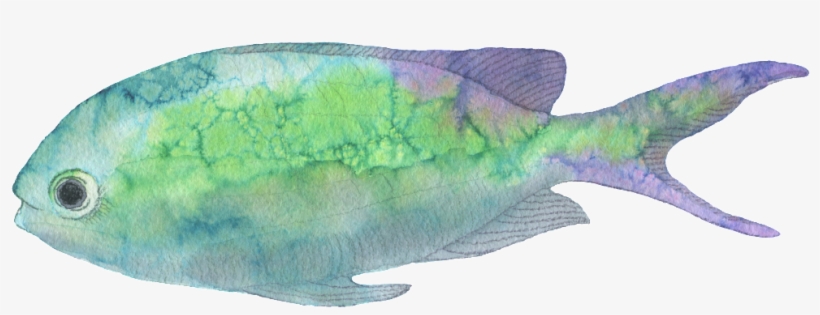 Este Gráficos Es Green Small Fish Hand-painted Watercolor - Watercolor Painting, transparent png