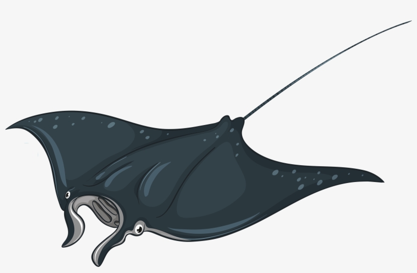 Skate Fish Png Clipart - Stingray Clipart, transparent png