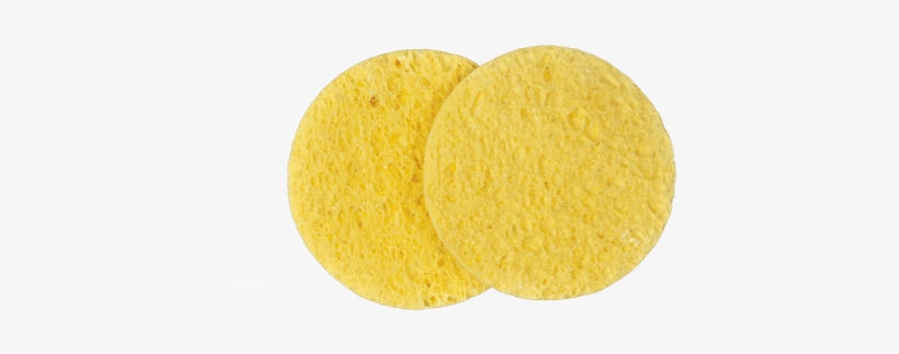 Facts On Cellulose Sponges Manufacturers - Cookie, transparent png
