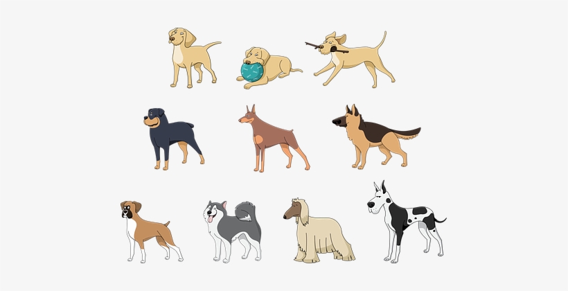 Animals Pets Dog Afghan Hound Boxer Doberm - Great Dane Dog Puppy Cartoon Drawing Samsung Galaxy, transparent png