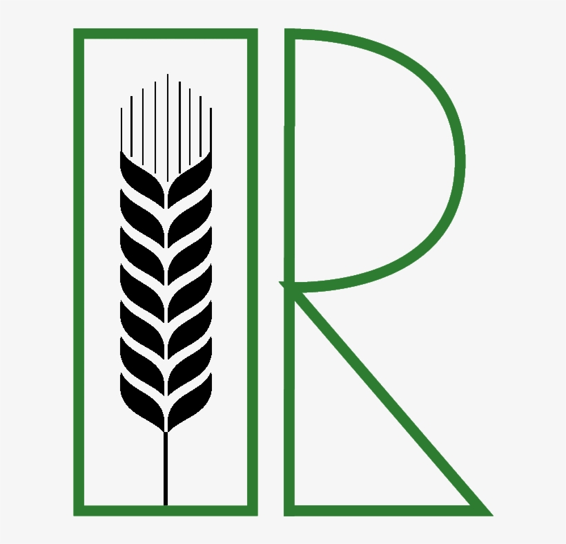 Ricochet Dream, transparent png