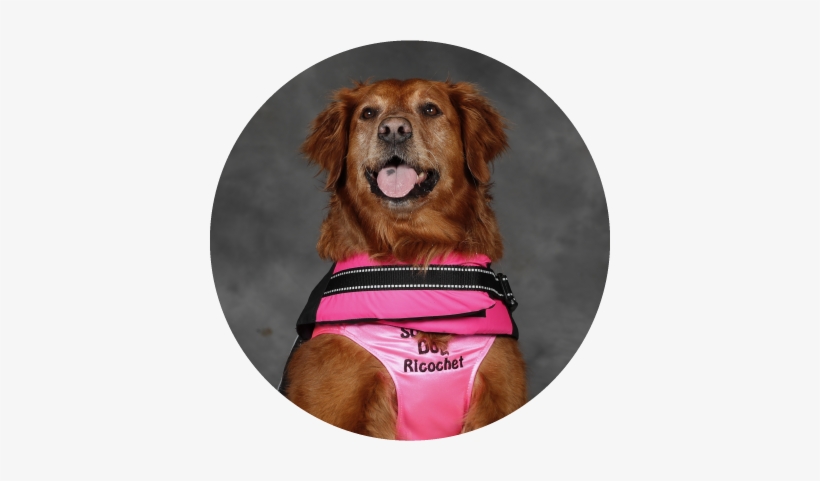 Superpower Dogs, transparent png