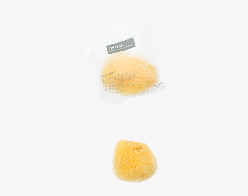 Natural Sea Sponge, Anyah - Sponge, transparent png