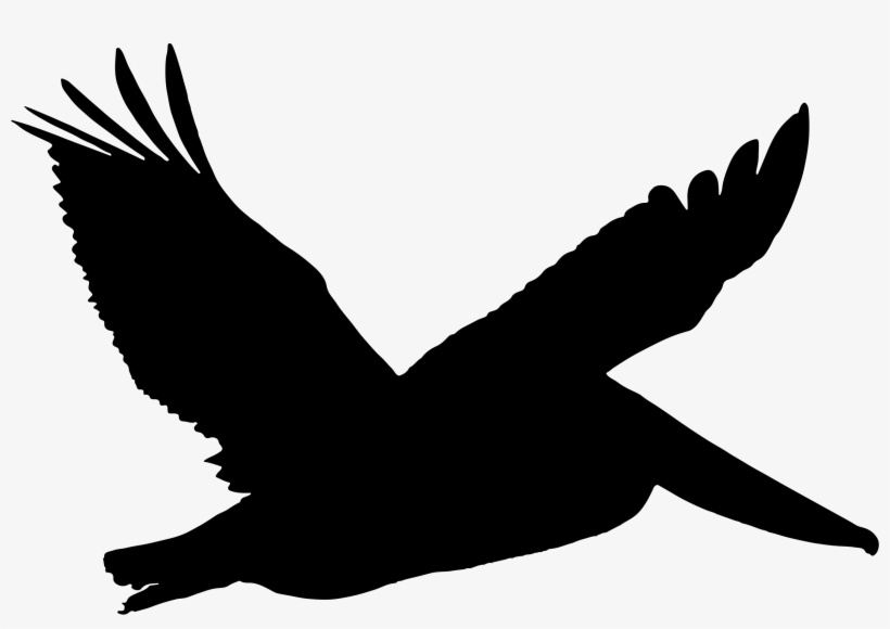 Kite Clipart Brown Pelican Silhouette Png 2344x1545 Png Download Pngkit