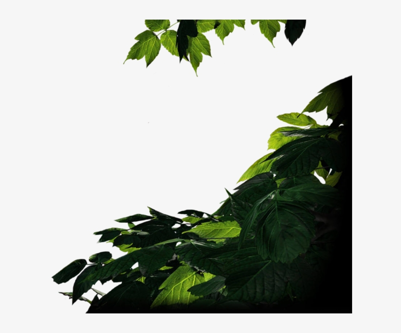 The Last Of Us Render Comments - Last Of Us Render, transparent png
