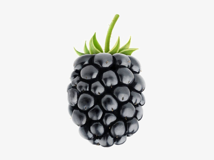 Blackberry Fruit Png Image Background - Blackberry Fruit, transparent png