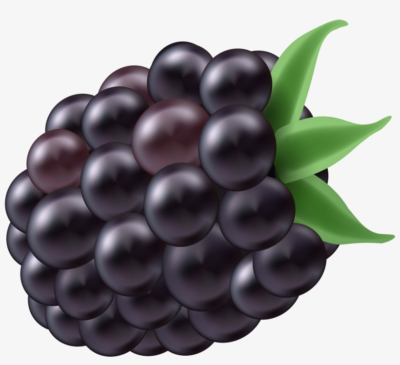 Blackberry, transparent png