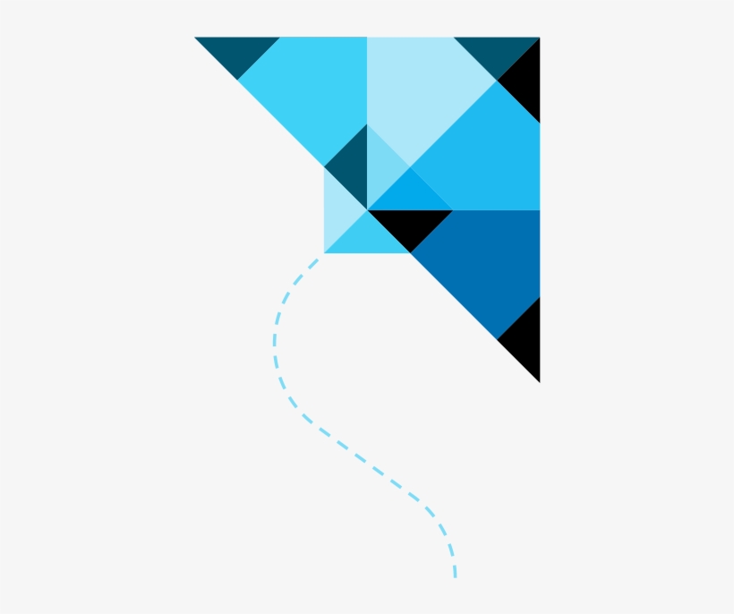 About Insight Professional Affiliations - Blue Kite Png, transparent png