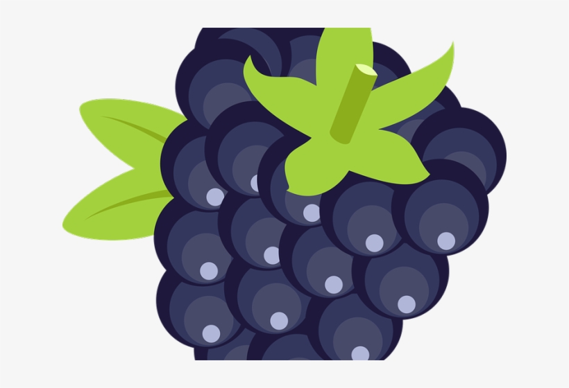 Blackberry Fruit Png Transparent Images - Blackberry Fruit Icon Png, transparent png