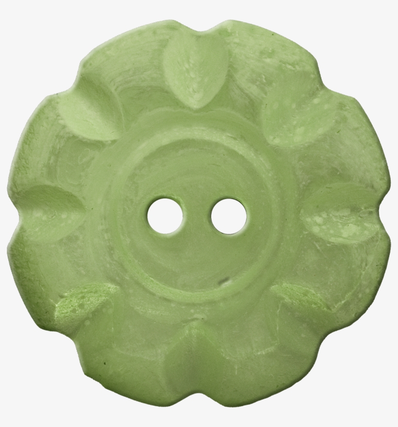Button With Scalloped Border, Yellow-green - Tropical Fish Wallpaper Border, transparent png