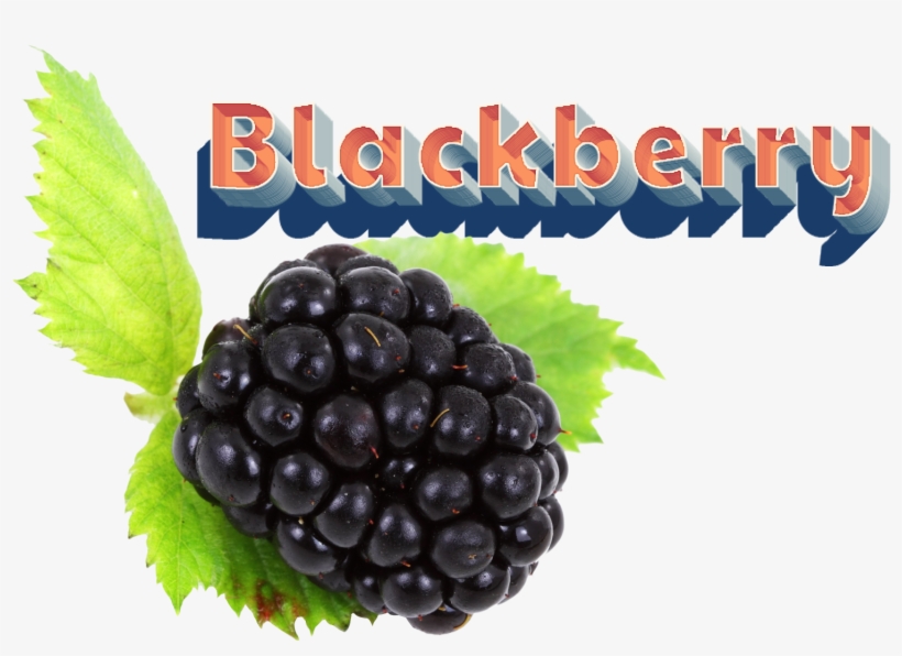 Blackberry Png Clipart - Portable Network Graphics, transparent png