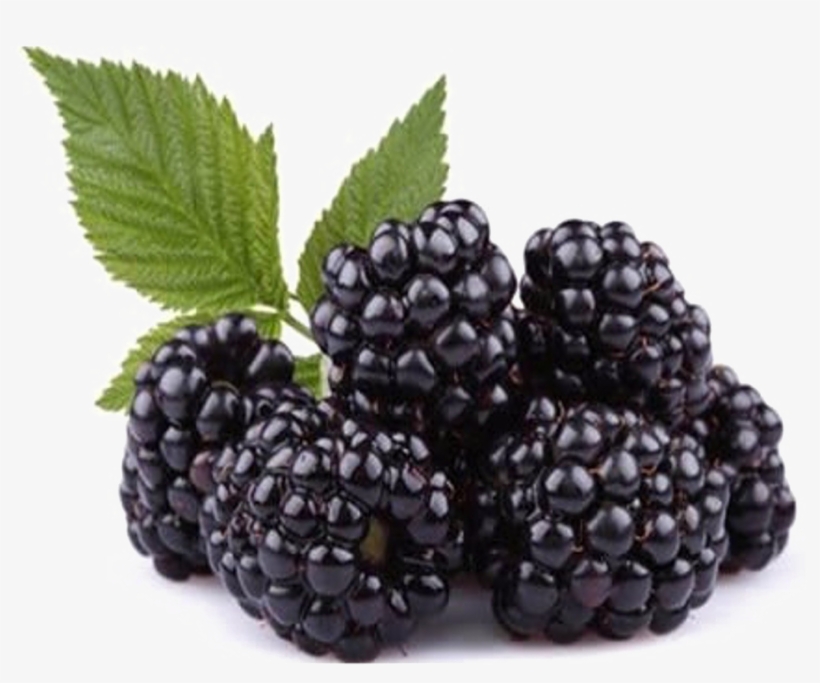 Blackberry Fruit Png Free Download Black Raspberry Seed Oil Cold