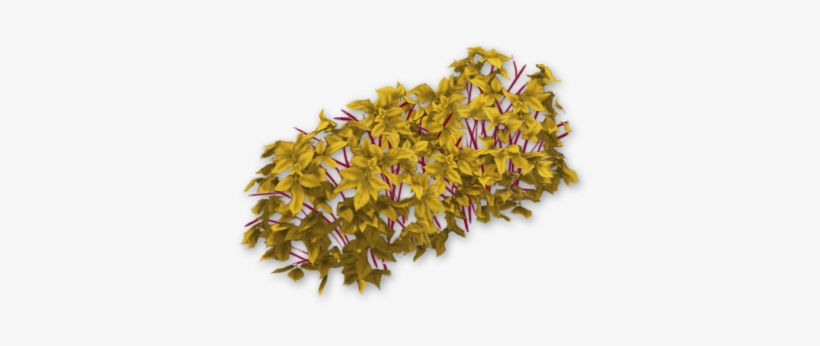 Blackberry Bush Dead - Portable Network Graphics, transparent png