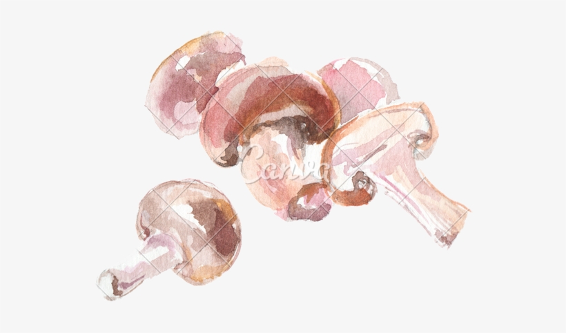 Image Result For Watercolor Mushrooms - Watercolor Painting, transparent png