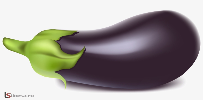 Pinterest - Eggplant Clipart Png, transparent png