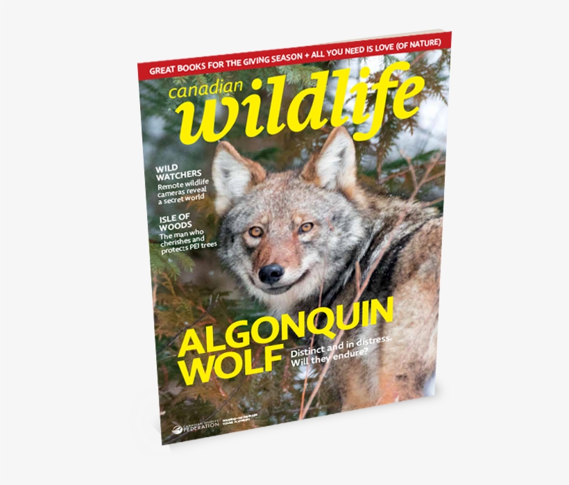 Canadian Wildlife Magazine Cover Subscribe Button - Biosphere, transparent png