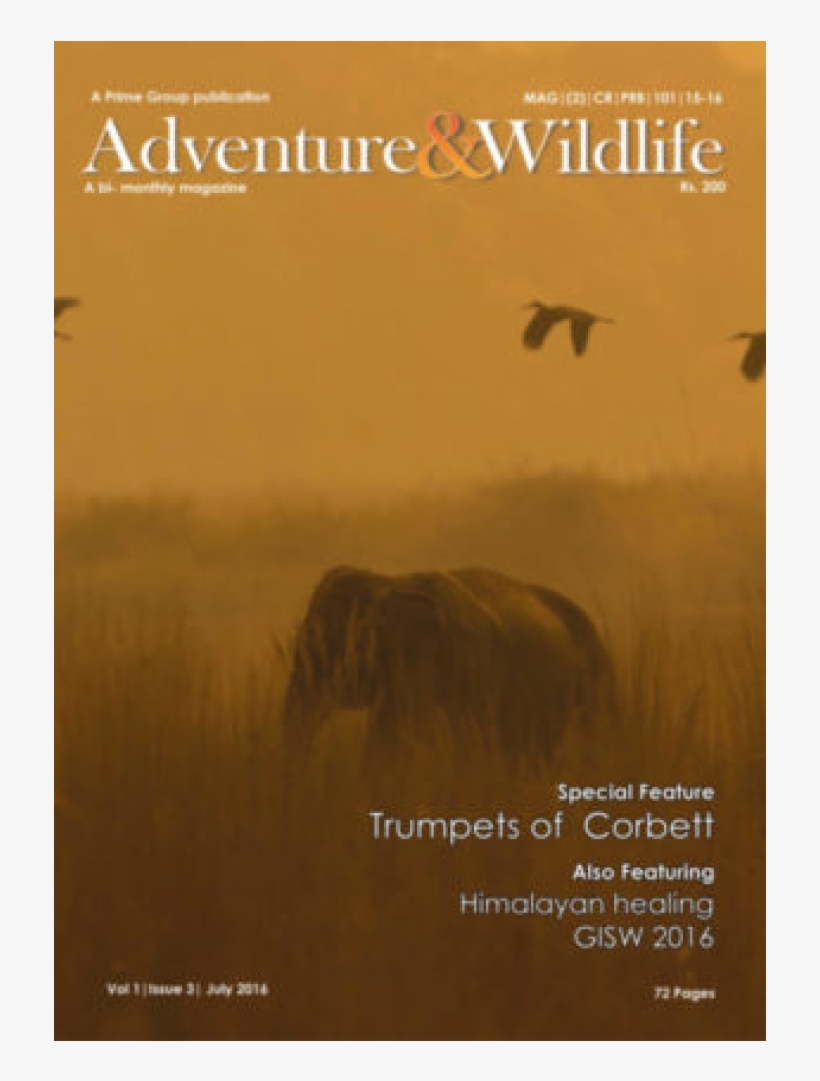 Magazine Cover Pictures - Magazine, transparent png