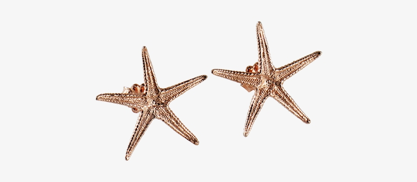Sea Star Large Stud Earrings - Sea Star Earrings, transparent png