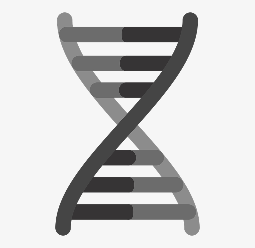 Dna Png, Download Png Image With Transparent Background, - Mutação Genética, transparent png