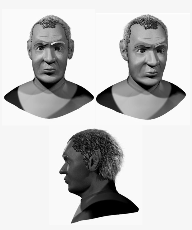 Frontal, Sagittal And 3/4 View Of Virtual Reconstruction - Sagittal Plane, transparent png