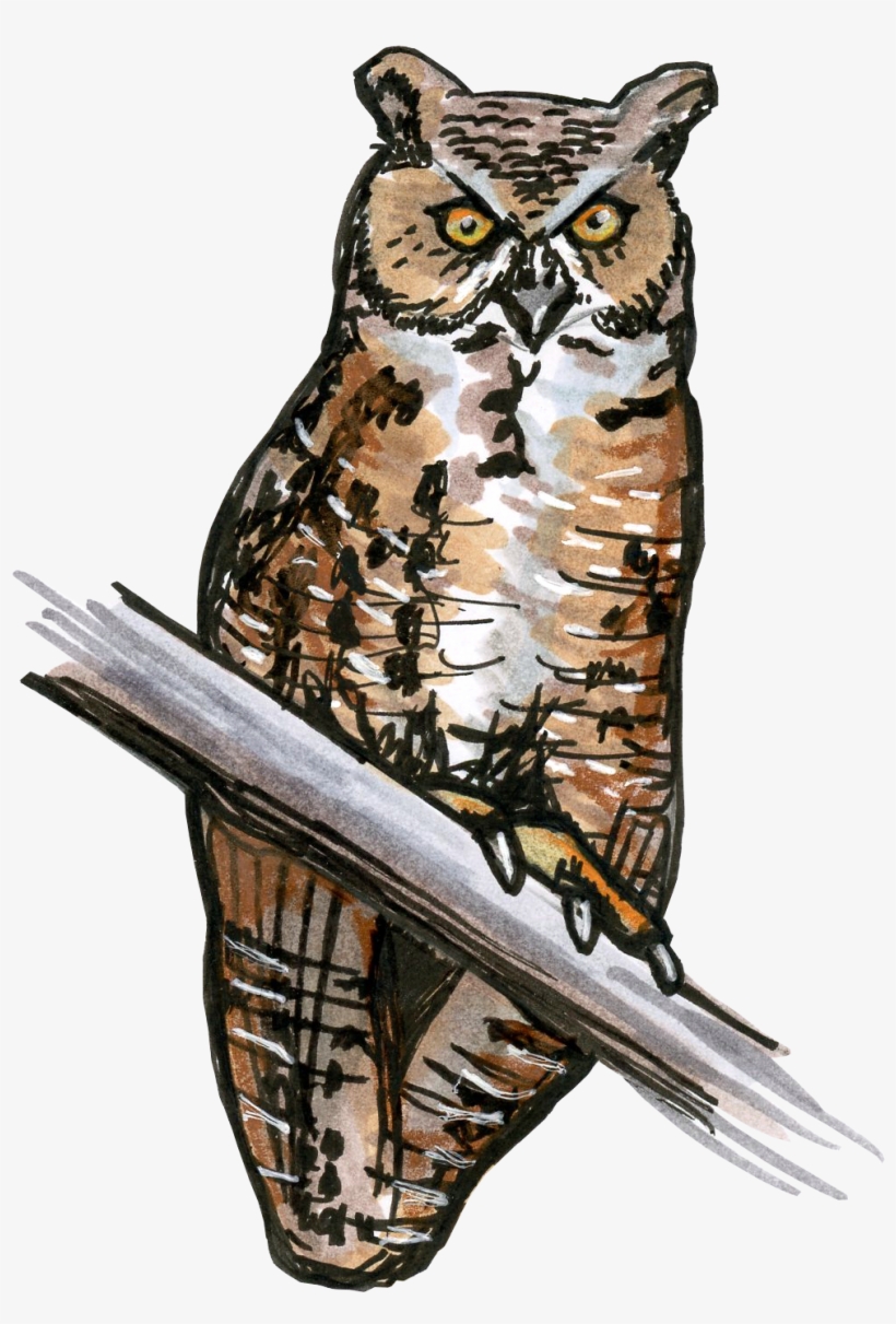 Horned Owl Png Banner Free - Great Horned Owl, transparent png