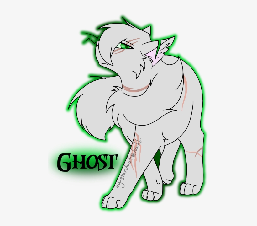 Ghost A Scar Covered, Long Furred Silver Tom With Piercing - Cartoon, transparent png