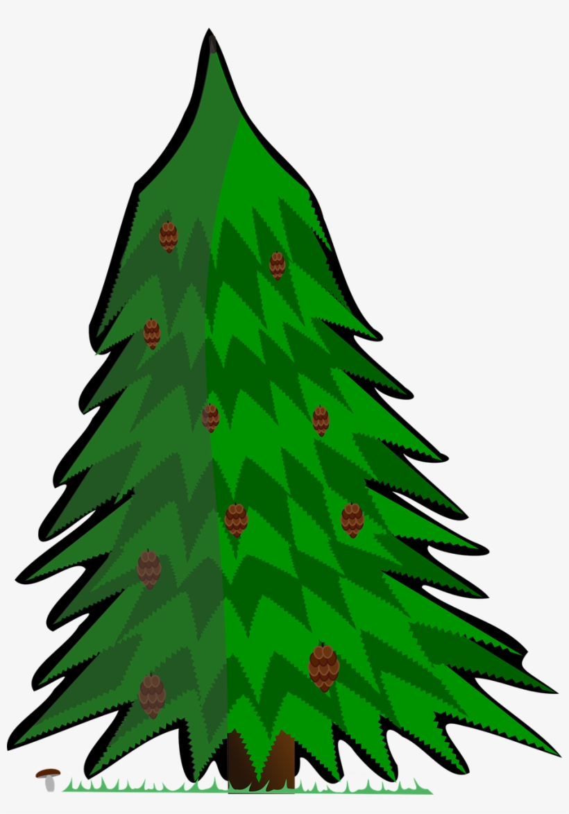Conifer Vector Tree - Jehličnatý Strom Png, transparent png