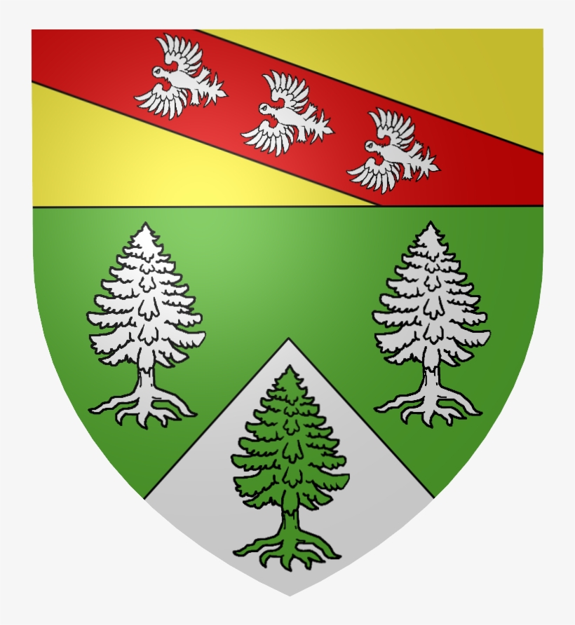 Blason Vosges - Saint-nicolas-de-port, transparent png