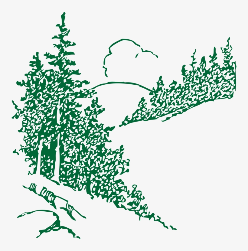 Mountain Pine Conifer Cone Download Computer Icons - Mountain With Trees Outline, transparent png