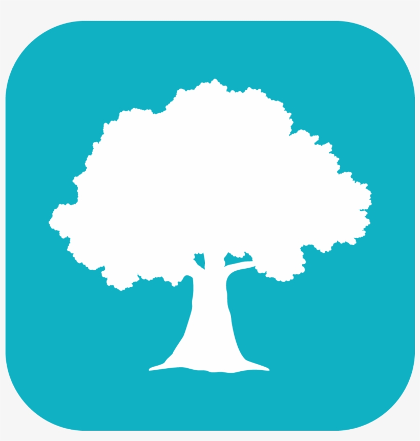 Willow Oaks Stories & Songs App Prototype Icon - Illustration, transparent png