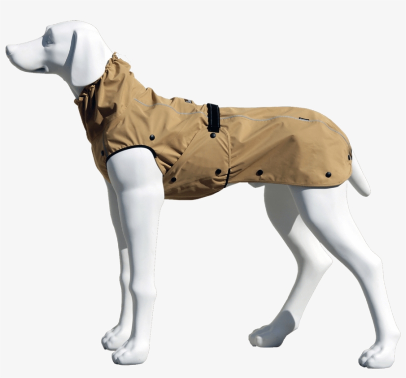 Rainmaster Hondenjas Stock Und Stein - Stock+stein Wear 4-seasons-master Set Taffy Beige, transparent png