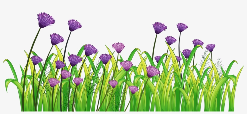 Фото, Автор Soloveika На Яндекс - Fence Flowers Clipart Hd, transparent png