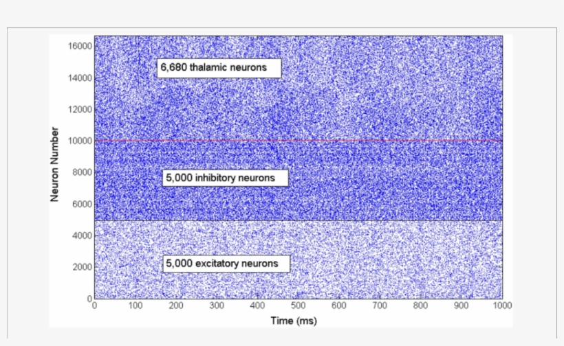 A Rastergram Illustrates The Asynchronous Firing Activity - Neuron, transparent png