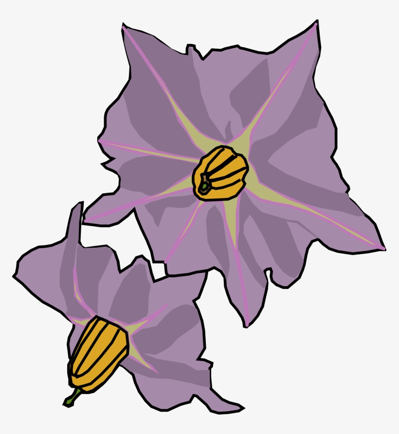 Potato Flowers - Potato Flower Png, transparent png