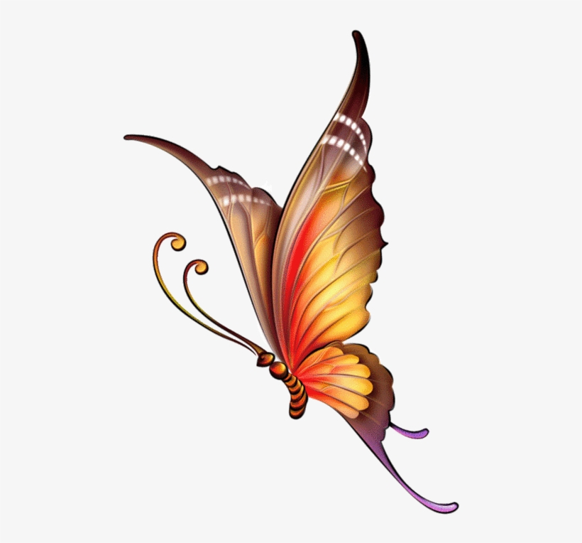 110795351 Large 0 A3e96 558d1632 Xl Butterfly Pattern, - Butterfly Images For Drawing With Colour, transparent png