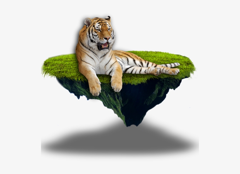 Tiger Png 17, Buy Clip Art - Moorea, transparent png