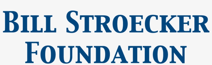 Donors - San Tan Hyundai Logo, transparent png