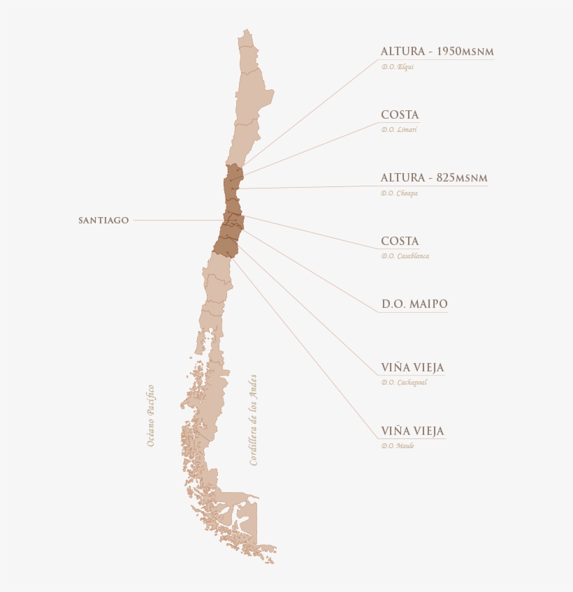“hemos Recorrido Chile De Norte A Sur Y De La Costa - Mapa De Chile Png, transparent png