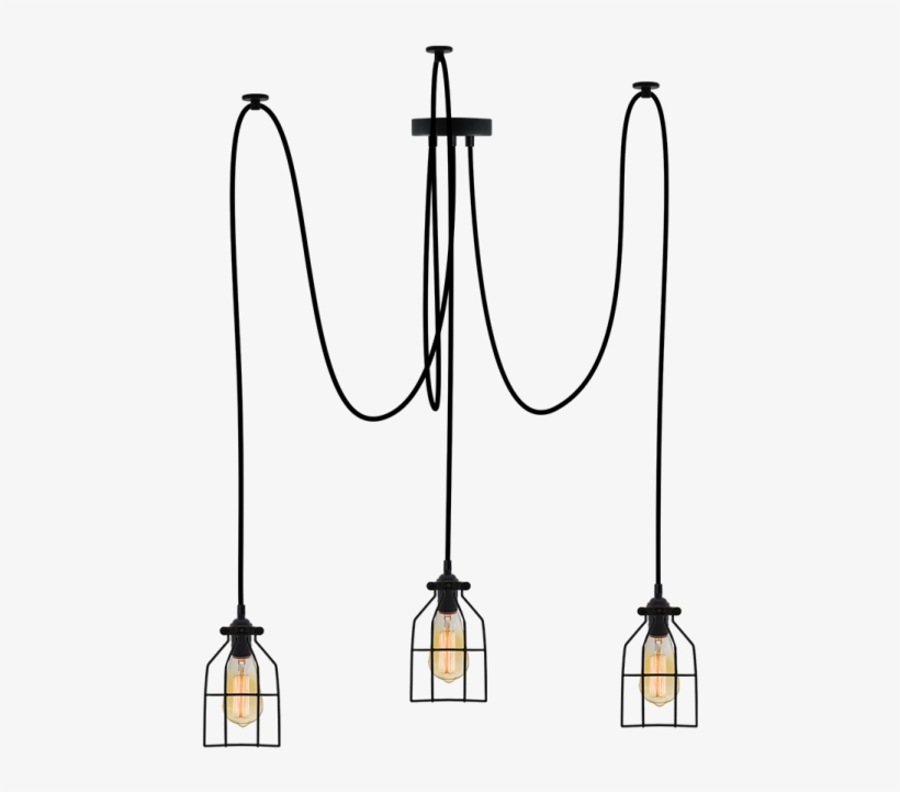 Extraordinary Round Cage Chandelier 2 0002214 13 Bird - Chandelier, transparent png