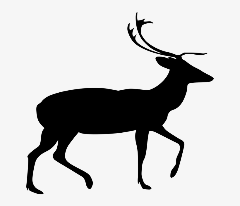 Stag Clip Art, transparent png