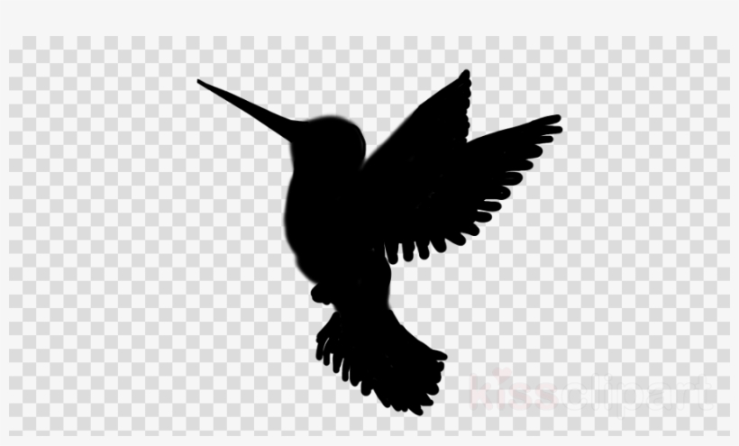 Download Hummingbird Silhouette Png Clipart Hummingbird - Black And White Graphic Satellite, transparent png