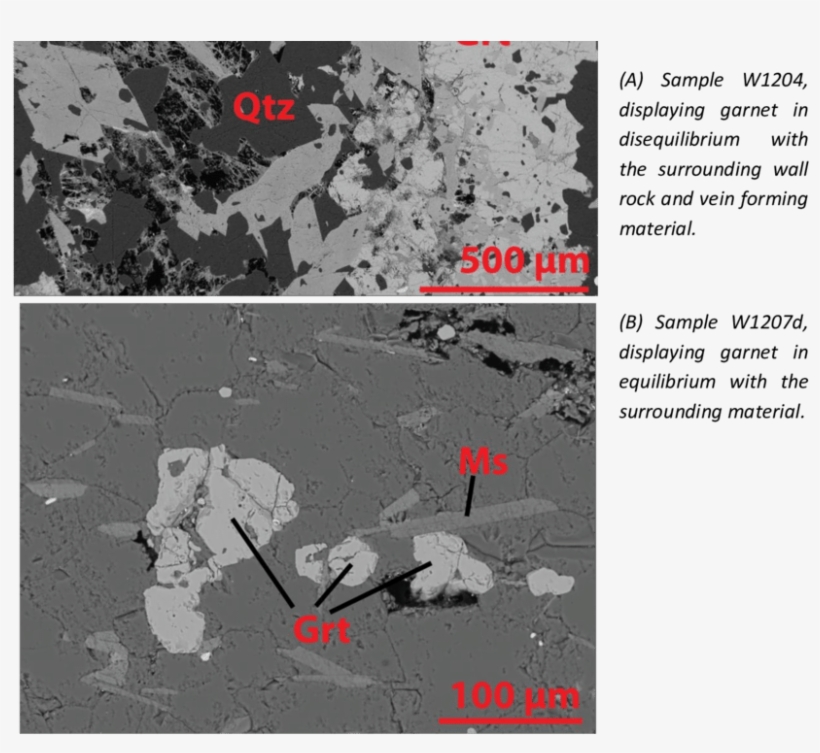 Backscatter Images Of Representative Garnets In A Large - Poster, transparent png
