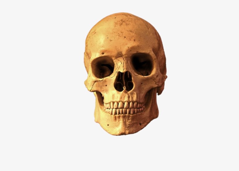 Skull Png Images - Coque Tete De Mort 38 Compatible Samsung S3 Mini Transparent, transparent png